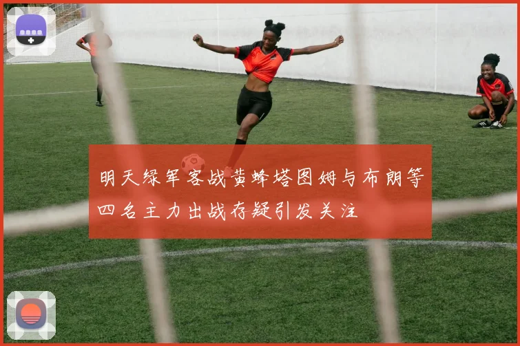 明天绿军客战黄蜂塔图姆与布朗等四名主力出战存疑引发关注
